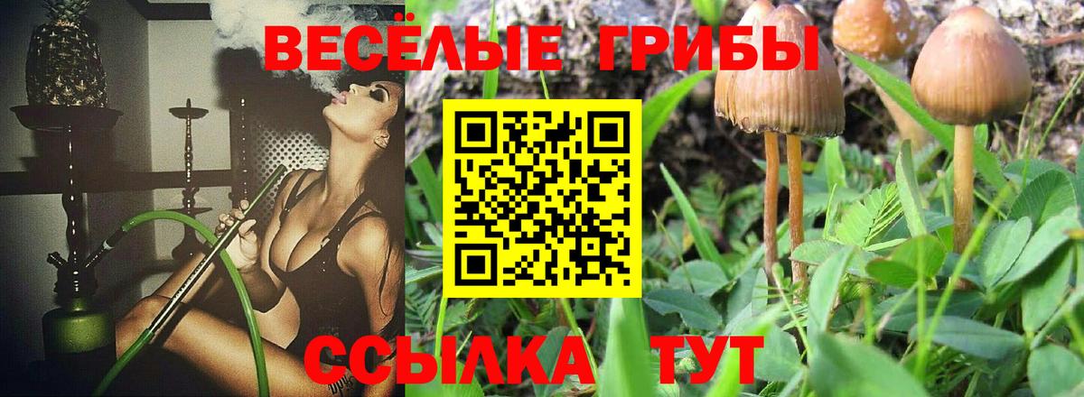 Псилоцибиновые грибы Psilocybine cubensis  Вход с VPN  Псилоцибиновые грибы Psilocybine cubensis  Сергиев Посад 